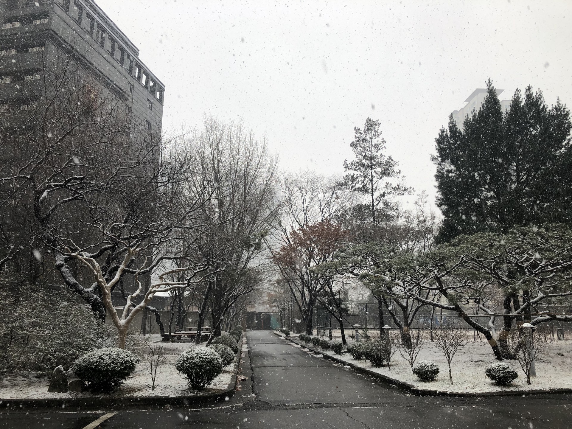 외부공간 정원, 원형잔디밭 (7)